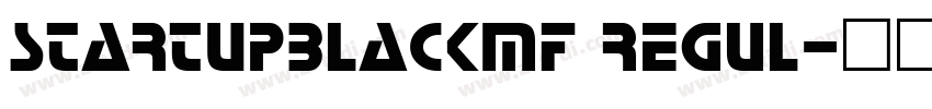 StartUpBlackMF Regul字体转换